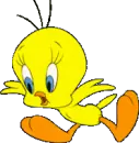 TWEETY BIRD