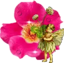 FAIRY WITH PINK ROSE