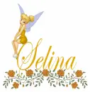 selina tnkrbll