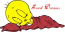TWEETY BIRD--SWEET DREAMS