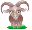Capricorn