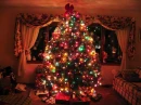 Christmas scene
