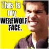 lol. funny