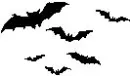 bats