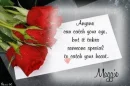 Catch your eye - Maggie
