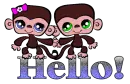 A Monkey Hello!