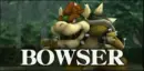 Bowser
