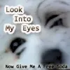 Look into My Eyes