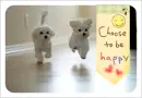 choose to be happy
