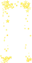 Star Border