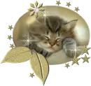 KITTEN GLOBE