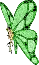 GREEN BUTTERFLY GIRL