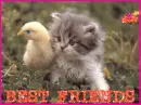 Best Friends