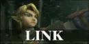 Link