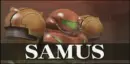 Samus