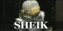 Shiek