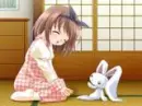 hello mr bunny