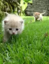 curious