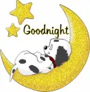 Goodnight