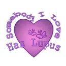 Lupus