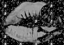 skull lips