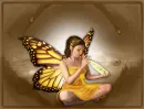 butterflydreams