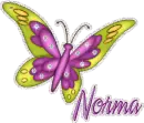 Norma