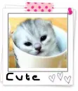 cute!