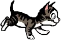 kitten