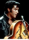 elvis