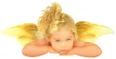 baby butterfly