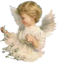 lovely baby angel