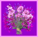 purple flowers