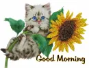 Good morning