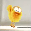 chick
