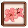 cute flowers