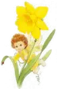 baby flower