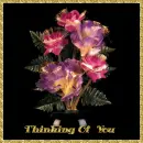 THINKING OF YOU
