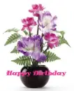 HAPPY BIRTHDAY
