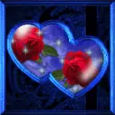 BLUE ROSE