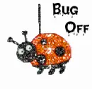lady bug