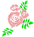 Pink Roses