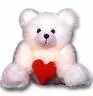 teddy bear