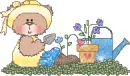 Bear 