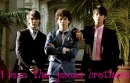 i love the jonas brothers