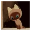 Kitty