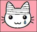 Kitty