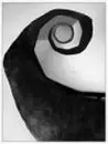 image ex
