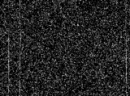 Black static