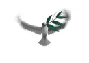 Dove